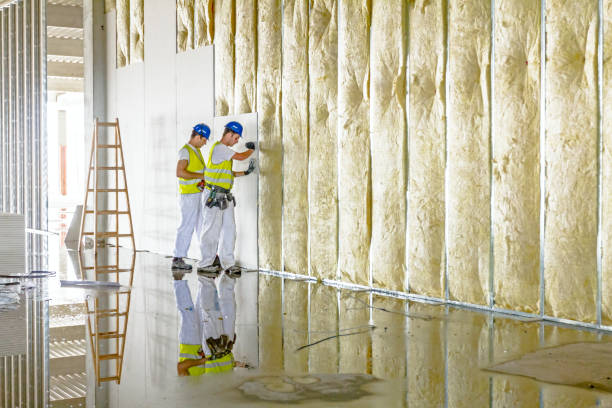 Best Wall Insulation Contractor  in USA